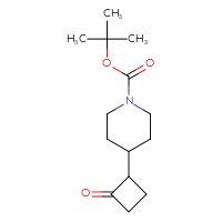 Chemical structure of tert-butyl 4-(2-oxocyclobutyl)piperidine-1-carboxylate - CSSB09891881413
