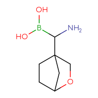 C7H14BNO3