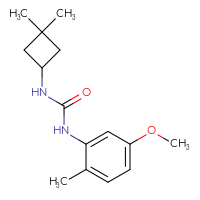 Chemical structure of 3-(3,3-dimethylcyclobutyl)-1-(5-methoxy-2-methylphenyl)urea - CSSB01410071142