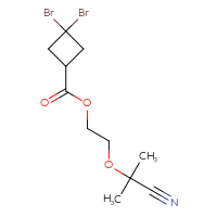 C11H15Br2NO3