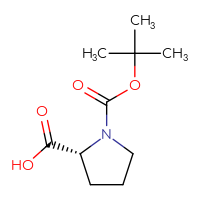 C10H17NO4
