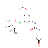 Chemical structure of 1-[3-(difluoromethoxy)-5-(4,4,5,5-tetramethyl-1,3,2-dioxaborolan-2-yl)phenyl]-3-(3-oxocyclobutyl)urea - CSSB21332131463