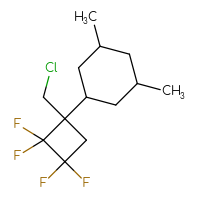 C13H19ClF4