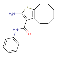 Chemical structure of 2-amino-N-phenyl-4H,5H,6H,7H,8H,9H-cycloocta[b]thiophene-3-carboxamide - CSSB00020594962