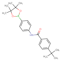 Chemical structure of 4-tert-butyl-N-[4-(4,4,5,5-tetramethyl-1,3,2-dioxaborolan-2-yl)phenyl]benzamide - CSSB00150723632