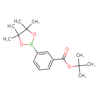 Chemical structure of tert-butyl 3-(4,4,5,5-tetramethyl-1,3,2-dioxaborolan-2-yl)benzoate - CSSB00009828340