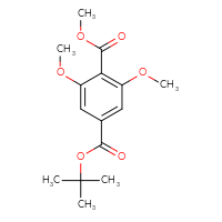 Chemical structure of 4-tert-butyl 1-methyl 2,6-dimethoxybenzene-1,4-dicarboxylate - CSSB17214011291