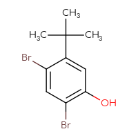 Chemical structure of 2,4-dibromo-5-tert-butylphenol - CSSB06595881445