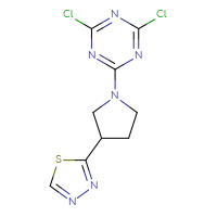 Chemical structure of 2,4-dichloro-6-[3-(1,3,4-thiadiazol-2-yl)pyrrolidin-1-yl]-1,3,5-triazine - CSSB02194232310
