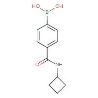 Chemical structure of [4-(cyclobutylcarbamoyl)phenyl]boronic acid - CSSB00103356691