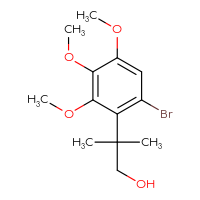 C13H19BrO4