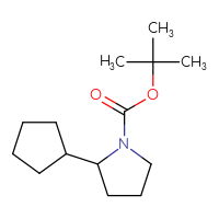 Chemical structure of tert-butyl 2-cyclopentylpyrrolidine-1-carboxylate - CSSB00011924583