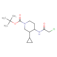 Chemical structure of tert-butyl 4-(2-chloroacetamido)-3-cyclopropylpiperidine-1-carboxylate - CSSB14841692630