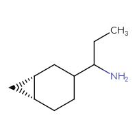 C10H19N