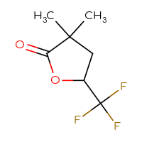 Chemical structure of 3,3-dimethyl-5-(trifluoromethyl)oxolan-2-one - CSSB15352962253