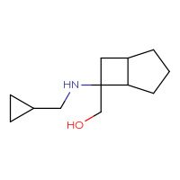 C12H21NO