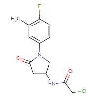 Chemical structure of 2-chloro-N-[1-(4-fluoro-3-methylphenyl)-5-oxopyrrolidin-3-yl]acetamide - CSSB21332038820