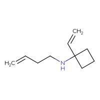 C10H17N