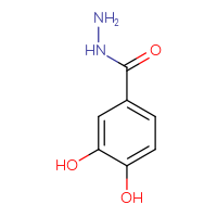Chemical structure of 3,4-dihydroxybenzohydrazide - CSSB00000721603