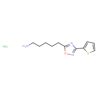 Chemical structure of 5-[3-(thiophen-2-yl)-1,2,4-oxadiazol-5-yl]pentan-1-amine hydrochloride - CSSB00000704630