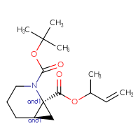 C16H25NO4