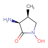 Chemical structure of (3S,4S)-3-amino-1-hydroxy-4-methylpyrrolidin-2-one - CSSB00015844278