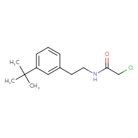 Chemical structure of N-[2-(3-tert-butylphenyl)ethyl]-2-chloroacetamide - CSSB02326497155