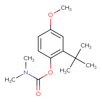 Chemical structure of 2-tert-butyl-4-methoxyphenyl N,N-dimethylcarbamate - CSSB21432556418