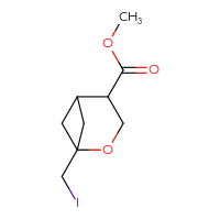 C9H13IO3
