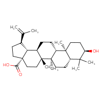 Chemical structure of (1R,3aS,5aR,5bR,7aR,9R,11aR,11bR,13aR,13bR)-9-hydroxy-5a,5b,8,8,11a-pentamethyl-1-(prop-1-en-2-yl)-icosahydro-1H-cyclopenta[a]chrysene-3a-carboxylic acid - CSSB00020666976