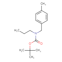 Chemical structure of tert-butyl N-[(4-methylphenyl)methyl]-N-propylcarbamate - CSSB00011923919