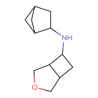 C12H19NO