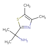 Chemical structure of 2-(4,5-dimethyl-1,3-thiazol-2-yl)propan-2-amine - CSSB00000756694