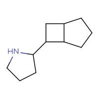 C11H19N