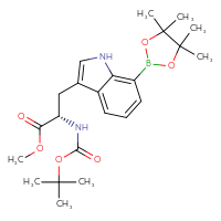 Chemical structure of methyl (2S)-2-{[(tert-butoxy)carbonyl]amino}-3-[7-(4,4,5,5-tetramethyl-1,3,2-dioxaborolan-2-yl)-1H-indol-3-yl]propanoate - CSSB21255937642