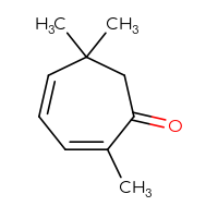 C10H14O