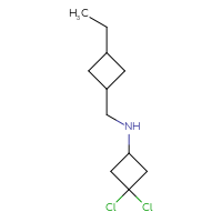 C11H19Cl2N