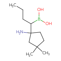 C11H24BNO2