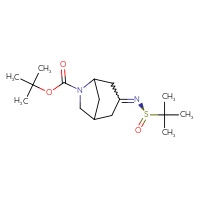Chemical structure of tert-butyl 3-{[(R)-2-methylpropane-2-sulfinyl]imino}-6-azabicyclo[3.2.1]octane-6-carboxylate - CSSB21331810543