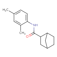 Chemical structure of N-(2,4-dimethylphenyl)bicyclo[2.2.1]heptane-2-carboxamide - CSSB00047915057