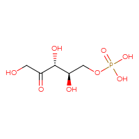 Chemical structure of {[(2R,3R)-2,3,5-trihydroxy-4-oxopentyl]oxy}phosphonic acid - CSSB06256041336