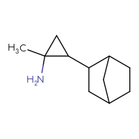 C11H19N