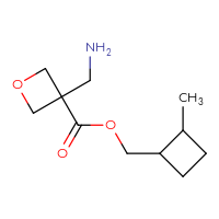 C11H19NO3