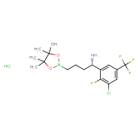 C17H24BCl2F4NO2