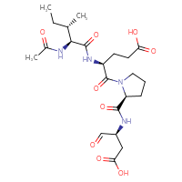 Chemical structure of (4S)-5-[(2S)-2-{[(2S)-1-carboxy-3-oxopropan-2-yl]carbamoyl}pyrrolidin-1-yl]-4-[(2S,3S)-2-acetamido-3-methylpentanamido]-5-oxopentanoic acid - CSSB06645075111