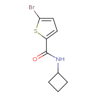 Chemical structure of 5-bromo-N-cyclobutylthiophene-2-carboxamide - CSSB00011664620