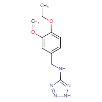 Chemical structure of N-[(4-ethoxy-3-methoxyphenyl)methyl]-2H-1,2,3,4-tetrazol-5-amine - CSSB00121626110