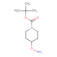 Chemical structure of tert-butyl 4-(aminooxy)piperidine-1-carboxylate - CSSB00010071455