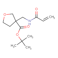 Chemical structure of tert-butyl 3-[(prop-2-enamido)methyl]oxolane-3-carboxylate - CSSB01938814146