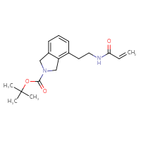 Chemical structure of tert-butyl 4-[2-(prop-2-enamido)ethyl]-2,3-dihydro-1H-isoindole-2-carboxylate - CSSB06725859036
